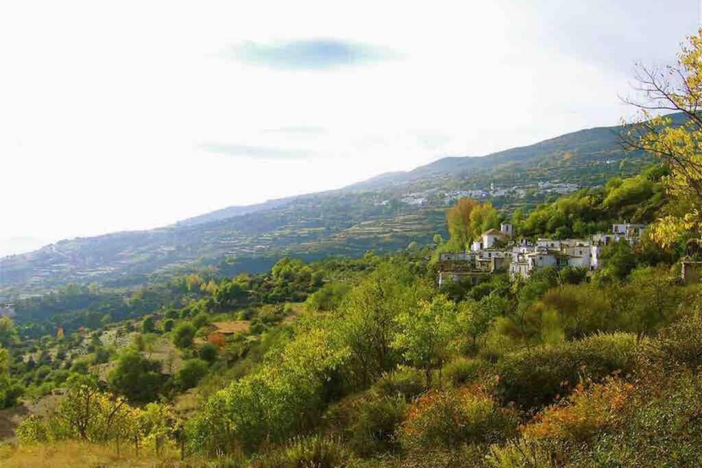 Atalbeitar Casa Carmela, Rural House With Spectacular Views, In An Exquisite Area 빌라 외부 사진