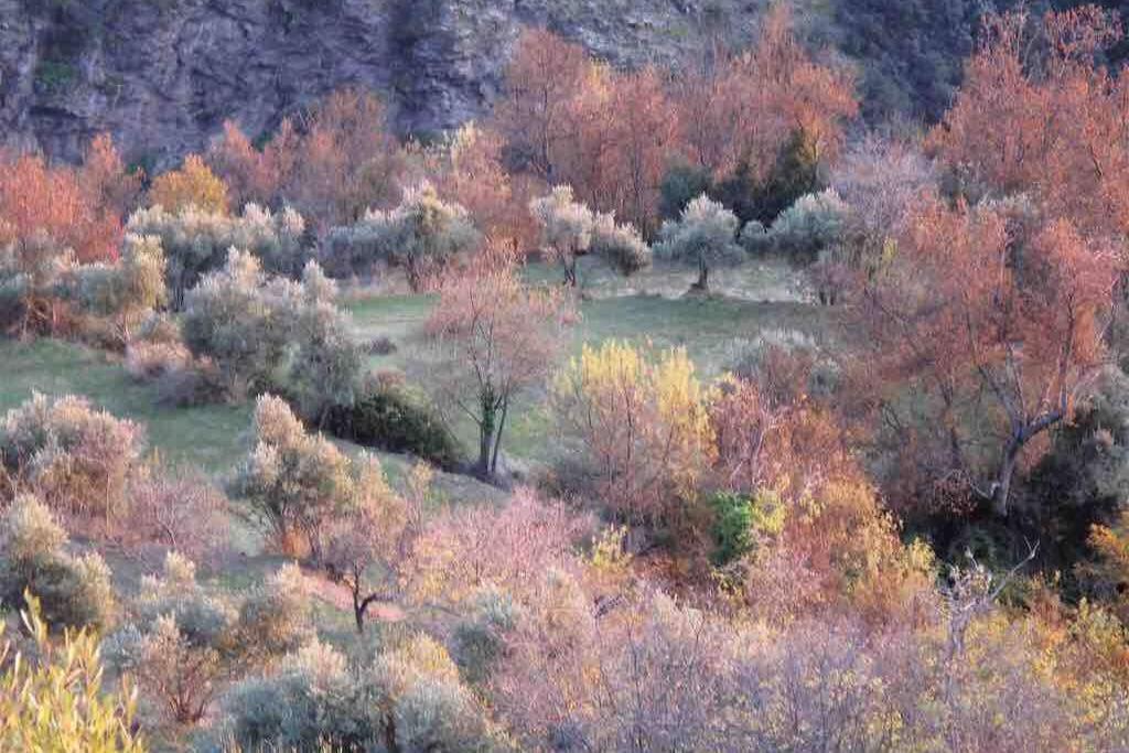 Atalbeitar Casa Carmela, Rural House With Spectacular Views, In An Exquisite Area 빌라 외부 사진