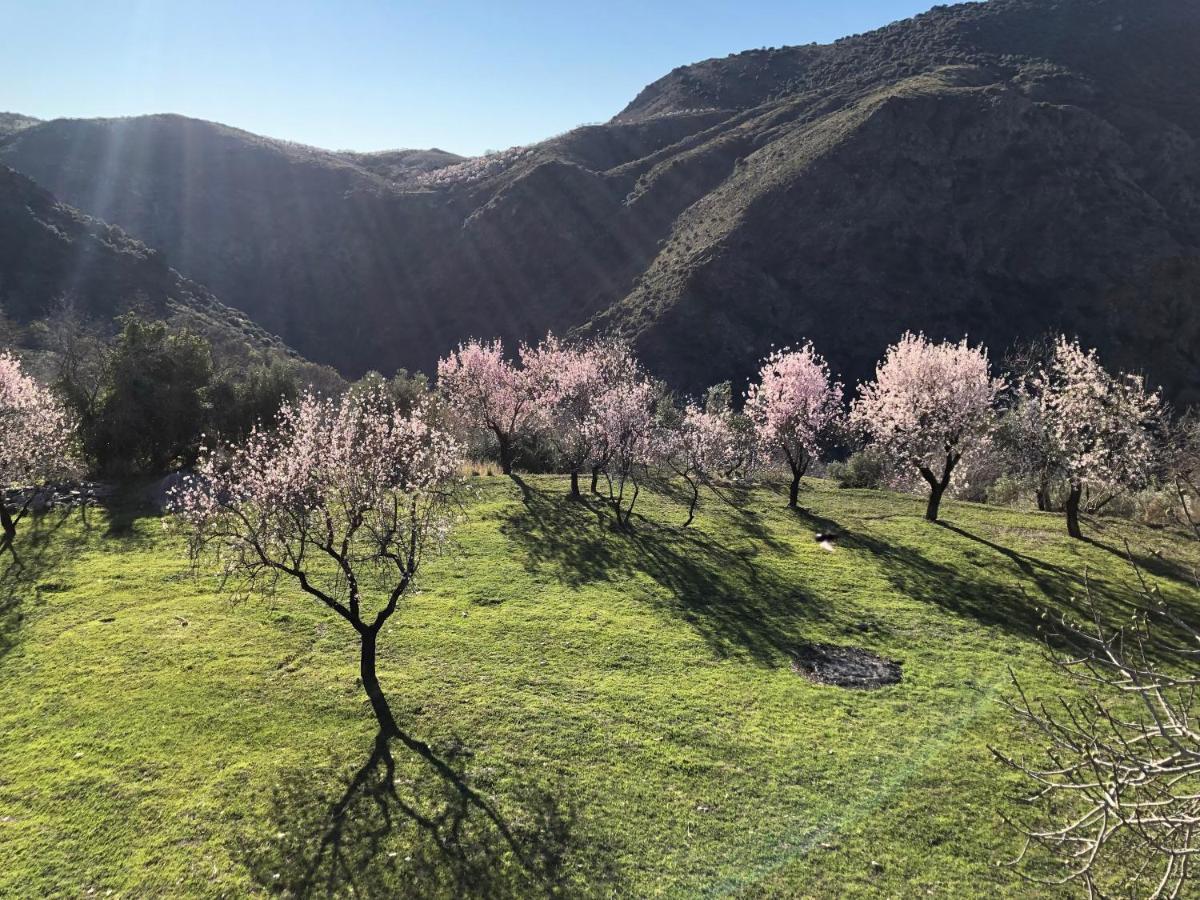 Atalbeitar Casa Carmela, Rural House With Spectacular Views, In An Exquisite Area 빌라 외부 사진