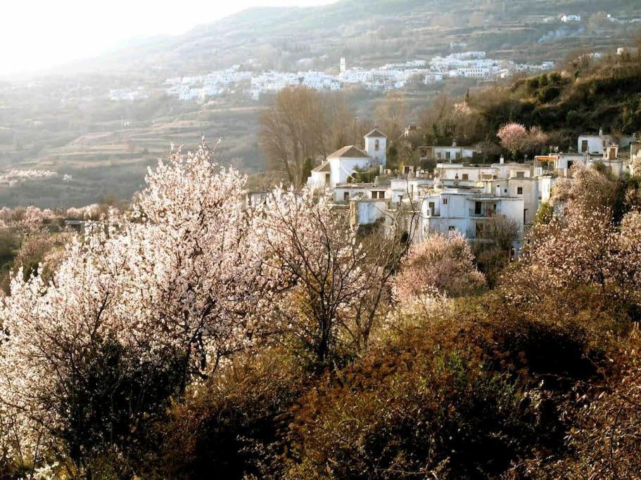 Atalbeitar Casa Carmela, Rural House With Spectacular Views, In An Exquisite Area 빌라 외부 사진