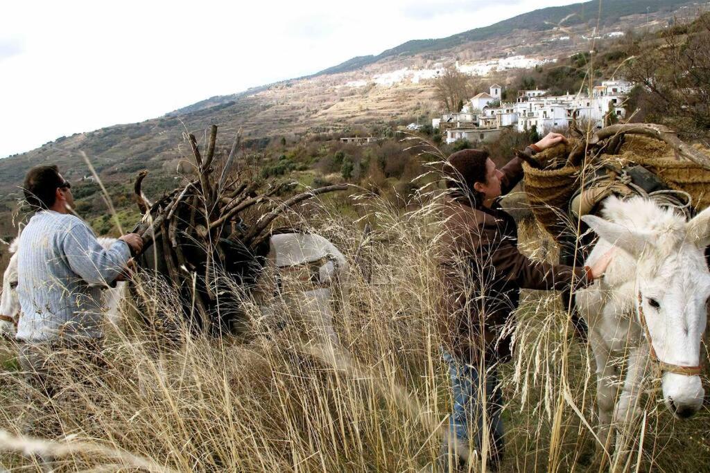 Atalbeitar Casa Carmela, Rural House With Spectacular Views, In An Exquisite Area 빌라 외부 사진