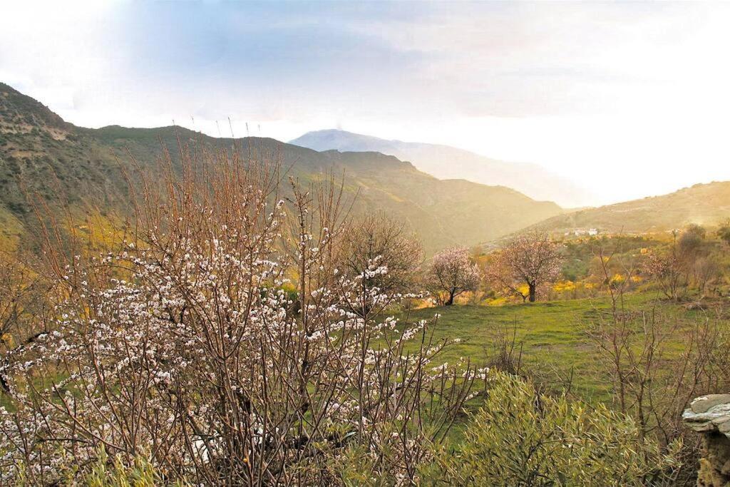Atalbeitar Casa Carmela, Rural House With Spectacular Views, In An Exquisite Area 빌라 외부 사진