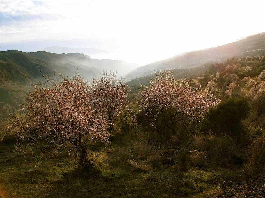 Atalbeitar Casa Carmela, Rural House With Spectacular Views, In An Exquisite Area 빌라 외부 사진