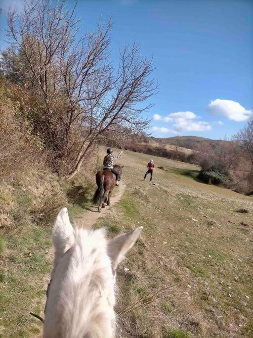 Atalbeitar Casa Carmela, Rural House With Spectacular Views, In An Exquisite Area 빌라 외부 사진